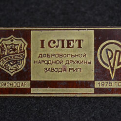 рип дружинник слет