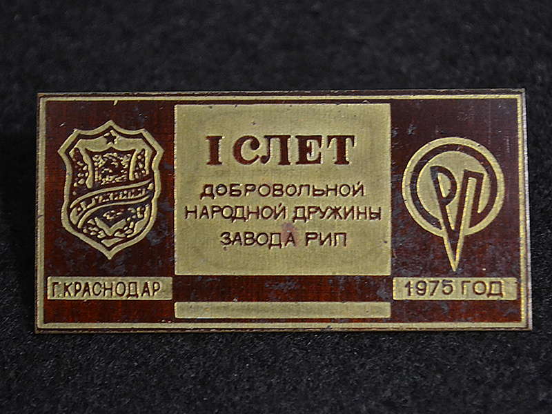 рип дружинник слет